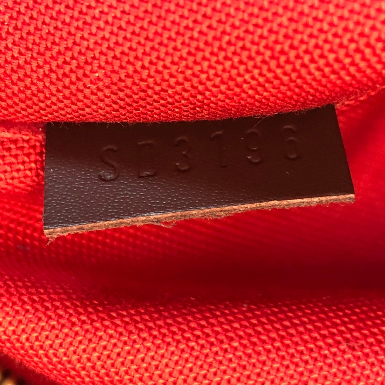 Louis Vuitton Siena Handbag Damier MM 1