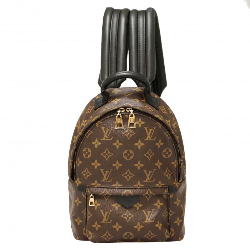 Louis Vuitton Small Backpack 1