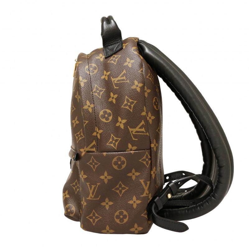 Louis Vuitton Small Backpack 2