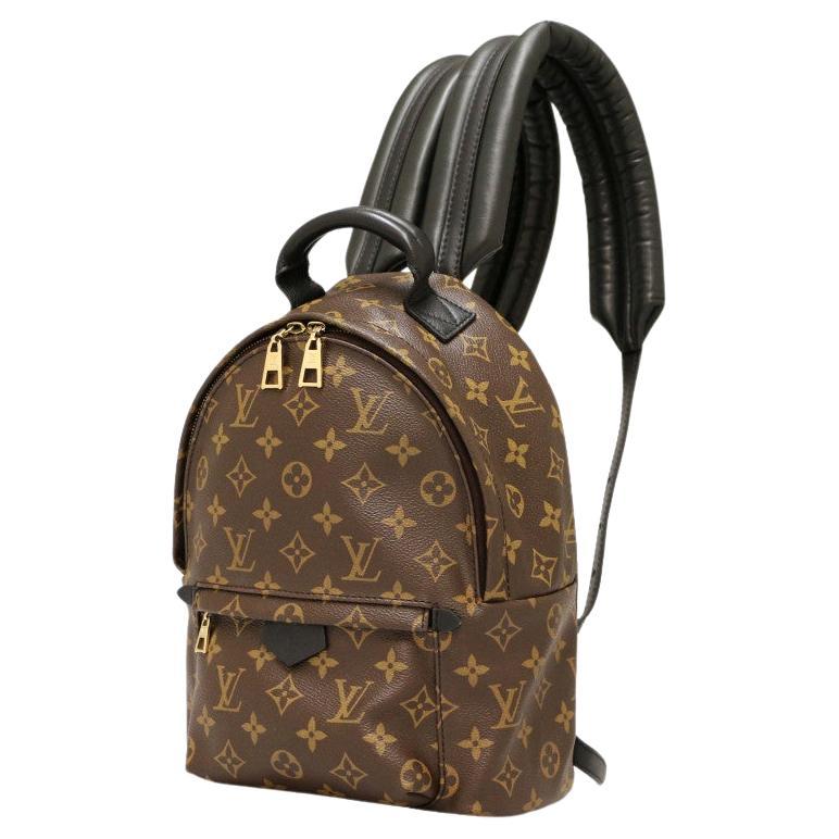 Louis Vuitton Small Backpack