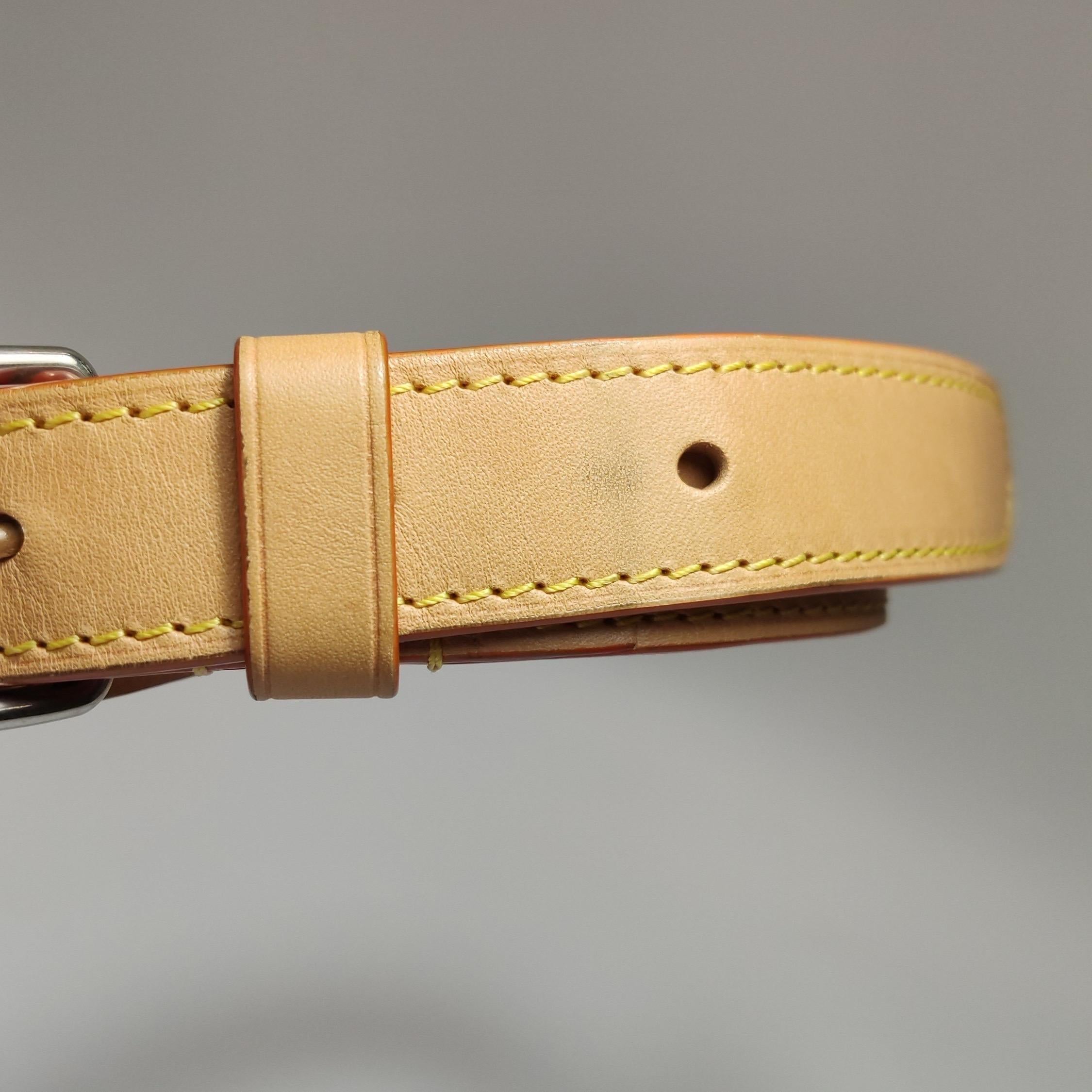 Louis Vuitton Soft Trunk Silver Patent Leather Monogram Crossbody Bag en vente 11