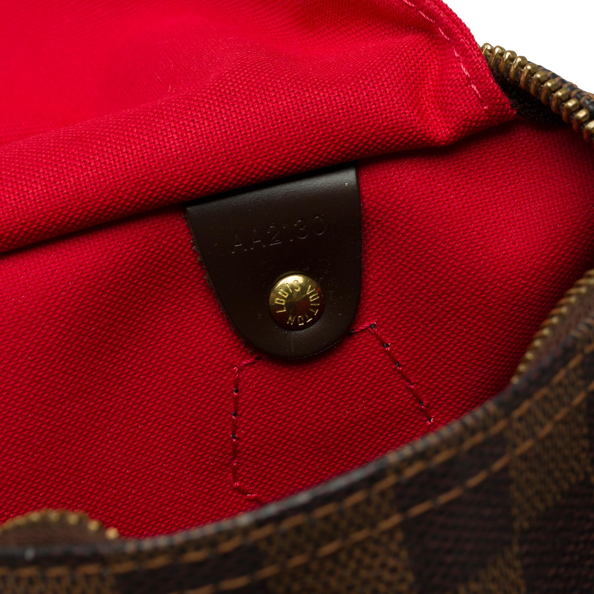 Louis Vuitton Speedy 25 braun karierte Canvas Handtasche, GHW 4