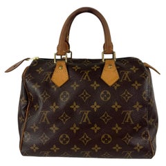 Louis Vuitton Speedy 25 Canvas in Brown