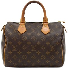 Vintage Louis Vuitton Speedy 25 Monogram Canvas City Hand Bag