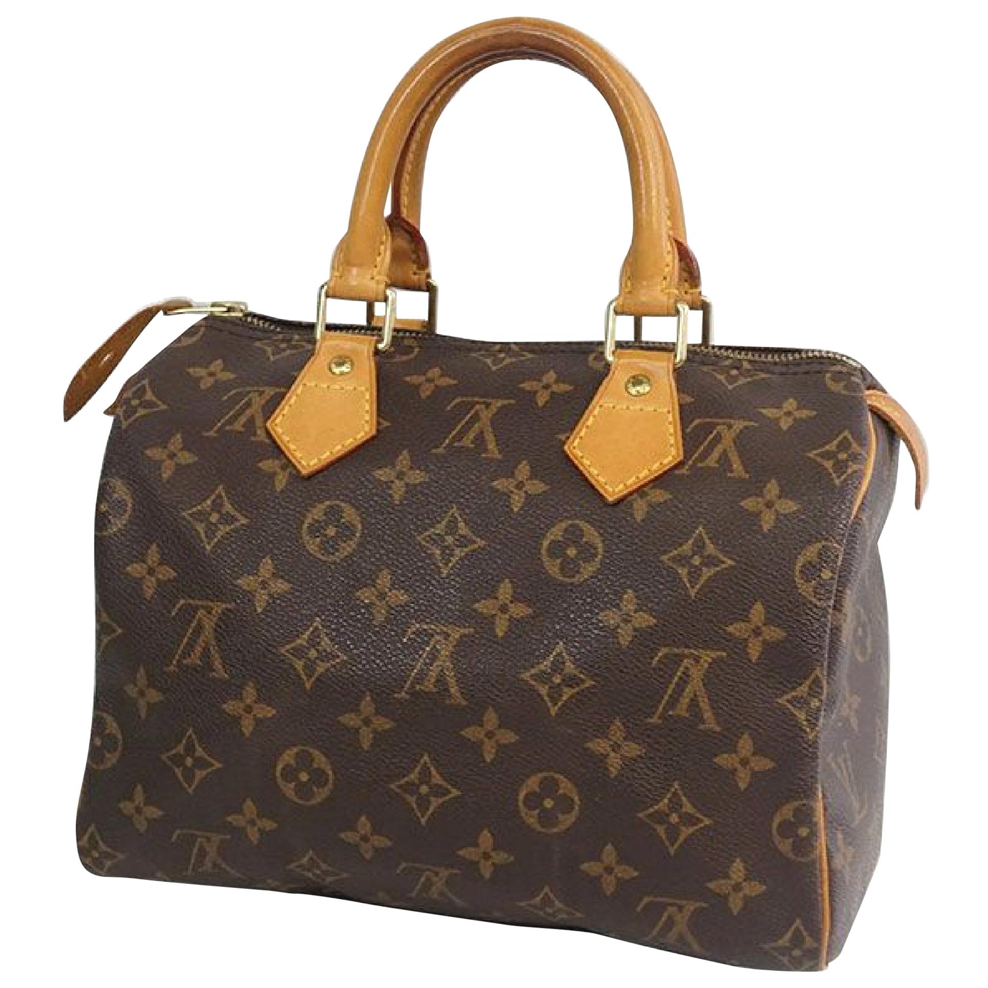 louis vuitton women's handbags