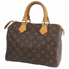 LOUIS VUITTON Speedy 25 Womens handbag M41528