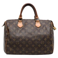 Louis Vuitton Speedy 30