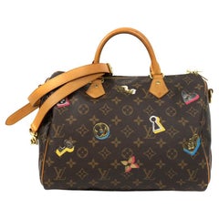 LOUIS VUITTON, Speedy 30 Limited Ed. in brown canvas