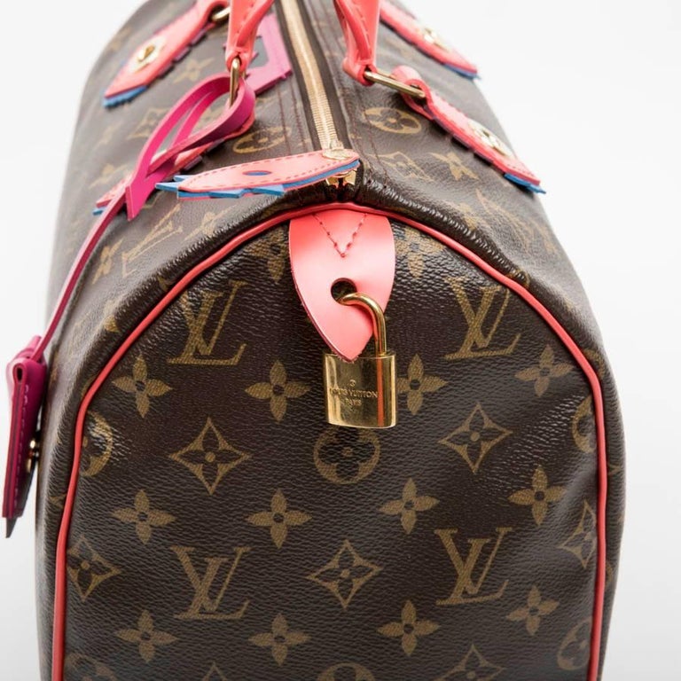 LOUIS VUITTON &#39;Speedy 30&#39; Limited Edition Bag in Brown totem Monogram Canvas For Sale at 1stdibs