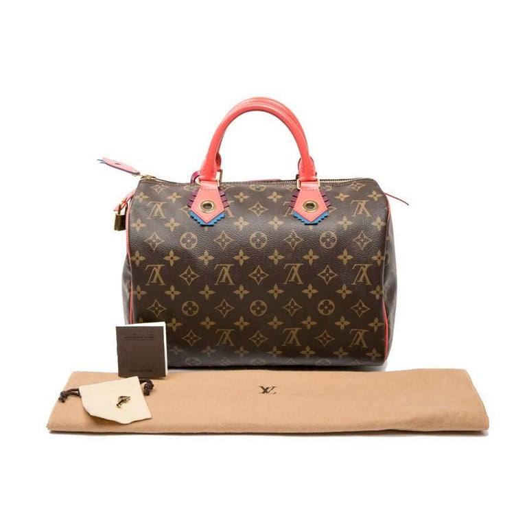 LOUIS VUITTON &#39;Speedy 30&#39; Limited Edition Bag in Brown totem Monogram Canvas For Sale at 1stdibs