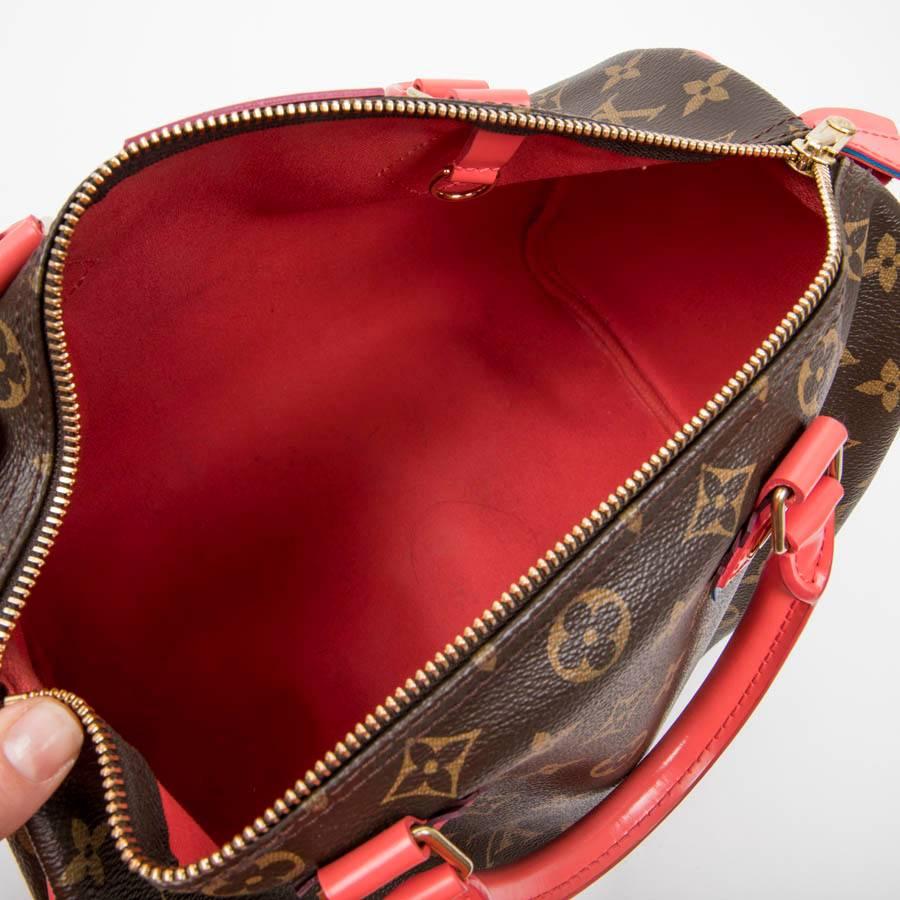 LOUIS VUITTON 'Speedy 30' Limited Edition Bag in Brown totem Monogram Canvas 1