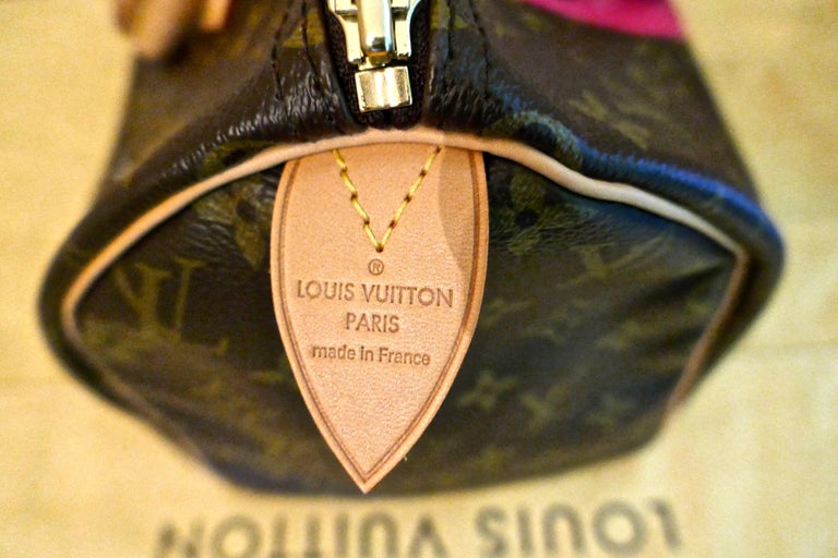 Louis Vuitton Limited Edition Speedy 30 Grenade Ramages Monogram Canvas  Purse at 1stDibs  louis vuitton speedy limited edition, louis vuitton  speedy 30 limited edition, lv speedy 30 limited edition