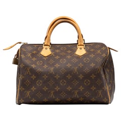 Louis Vuitton Speedy 30 Monogram