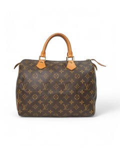 Louis Vuitton Speedy 30 Monogram