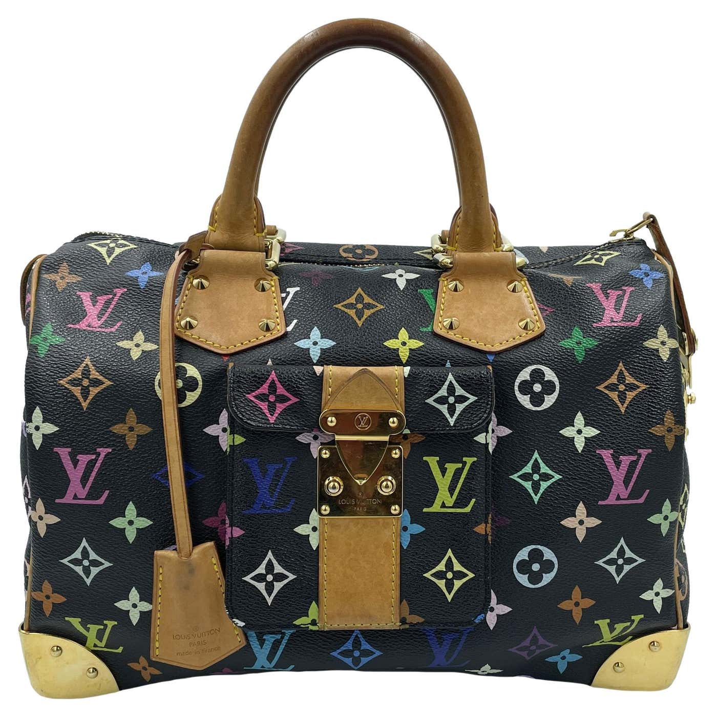 Louis Vuitton Speedy 30 Murakami Multiple colors Monogram Bag, 2003 For ...