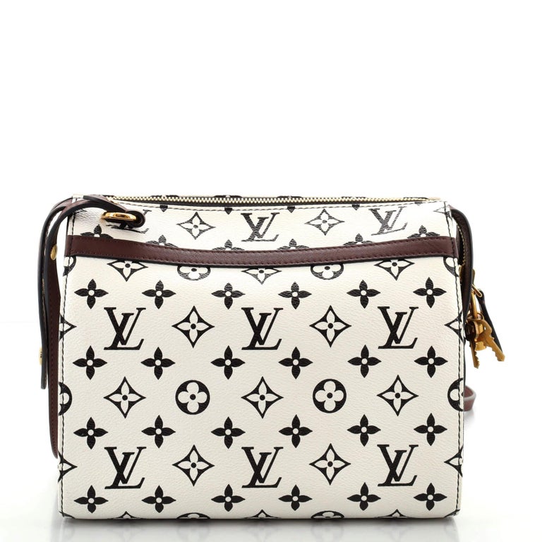 Louis Vuitton Speedy Amazon Bag Monogram Canvas PM at 1stDibs | louis  vuitton amazon speedy