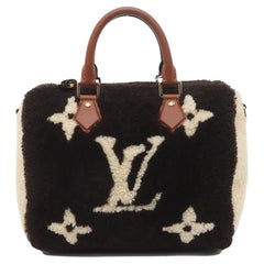 Louis Vuitton Speedy Bandouliere 25 Teddy Shearling Giant Monogram Crossbody Bag