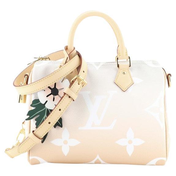 louis vuitton by the pool speedy