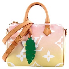 Louis Vuitton speedy Bandouliere 25 By the Pool Capsule Collection Multiple  colors Leather Cloth ref.563442 - Joli Closet
