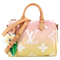 Louis Vuitton Speedy Bandouliere Bag By The Pool Monogram Giant 25