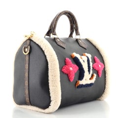 Louis Vuitton Speedy Bandouliere Bag Leather and Monogram Teddy Shearling