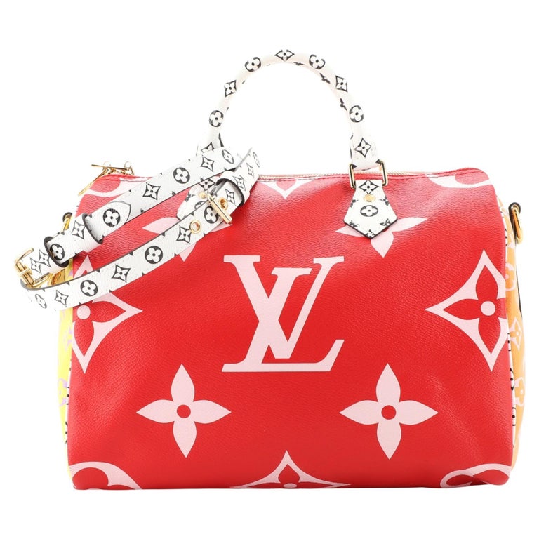 Speedy bag 30cm Louis Vuitton limited edition Multiple colors Leather Cloth  ref.235958 - Joli Closet