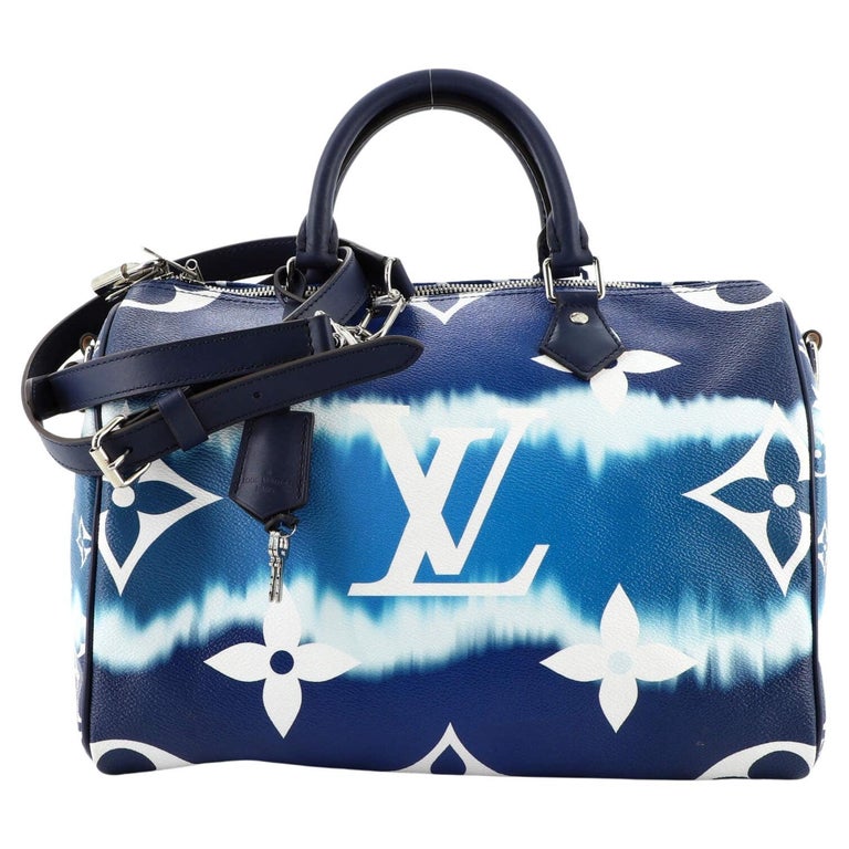Louis Vuitton Speedy Bandouliere LV Escale 30 Pastel  Louis vuitton  handbags crossbody, Louis vuitton bag, Louis vuitton crossbody bag