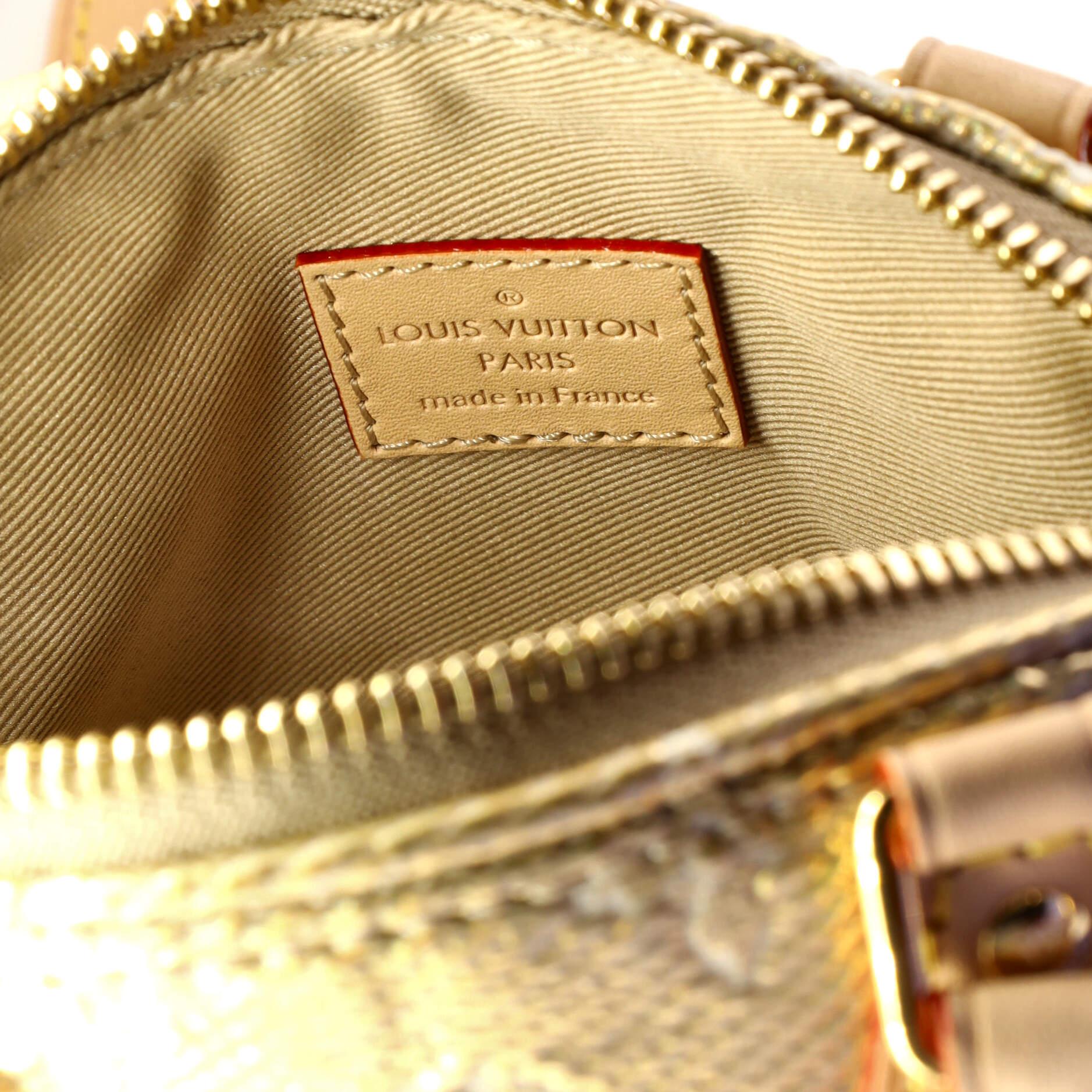 Louis Vuitton Speedy Bandouliere Bag Monoglam Jacquard Canvas Nano 1