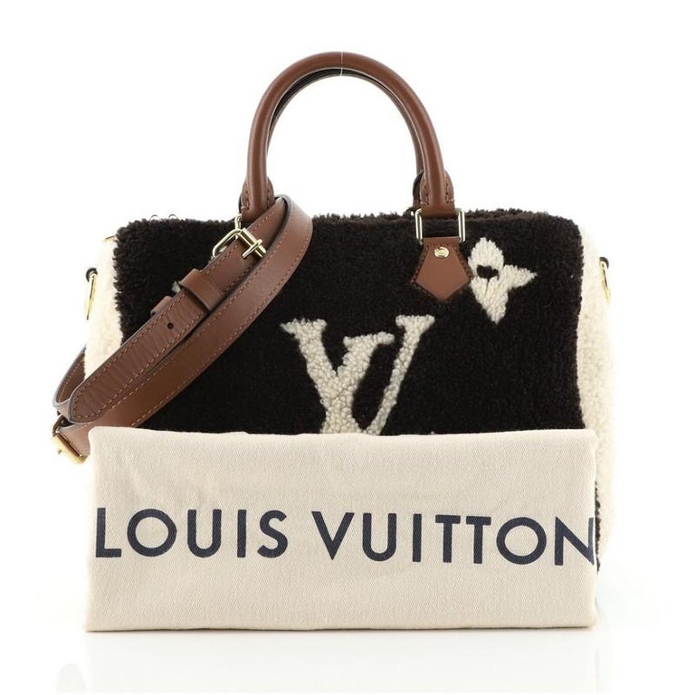 Louis Vuitton Speedy Bandouliere Bag Monogram Giant Teddy Fleece 25 at  1stDibs