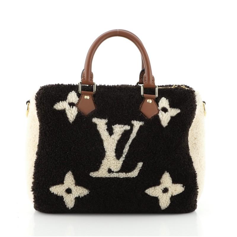 louis vuitton teddy fleece bag