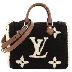 Louis Vuitton Speedy Bandouliere Bag Monogram Giant Teddy Fleece 25