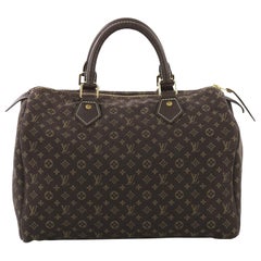 Louis Vuitton Speedy Handbag Mini Lin 30