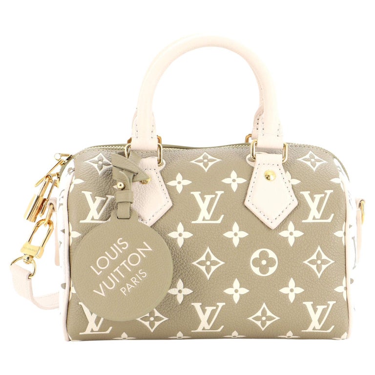 LOUIS VUITTON PERFORATED SPEEDY 30, Women's Fashion, Bags & Wallets, Purses  & Pouches on Carousell