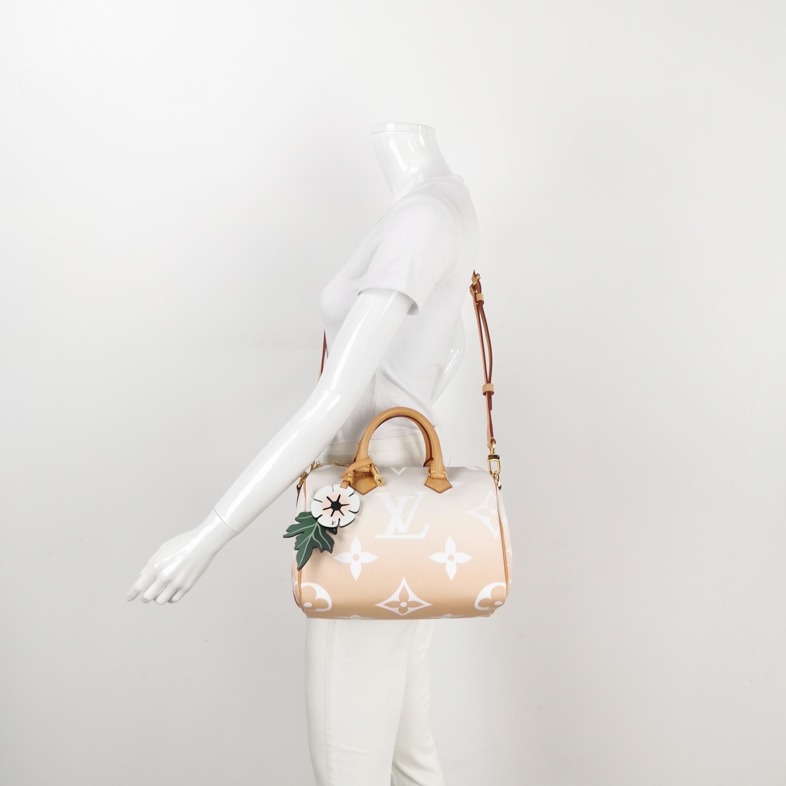 Louis Vuitton Speedy Bandouliere By The Pool Monogram Giant 25 Crossbody Bag 4