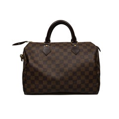 Louis Vuitton Speedy Damier 30