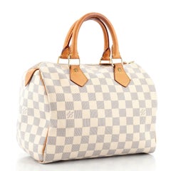 Louis Vuitton Speedy Handbag Damier 25