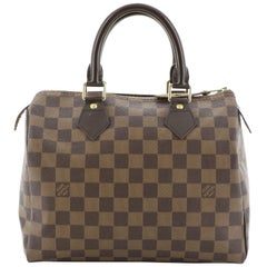 Louis Vuitton Speedy Handbag Damier 25