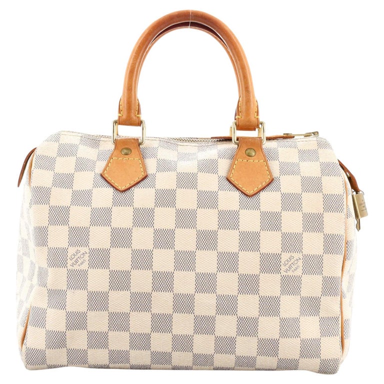 Louis Vuitton Speedy Handbag Damier 25 For Sale at 1stDibs