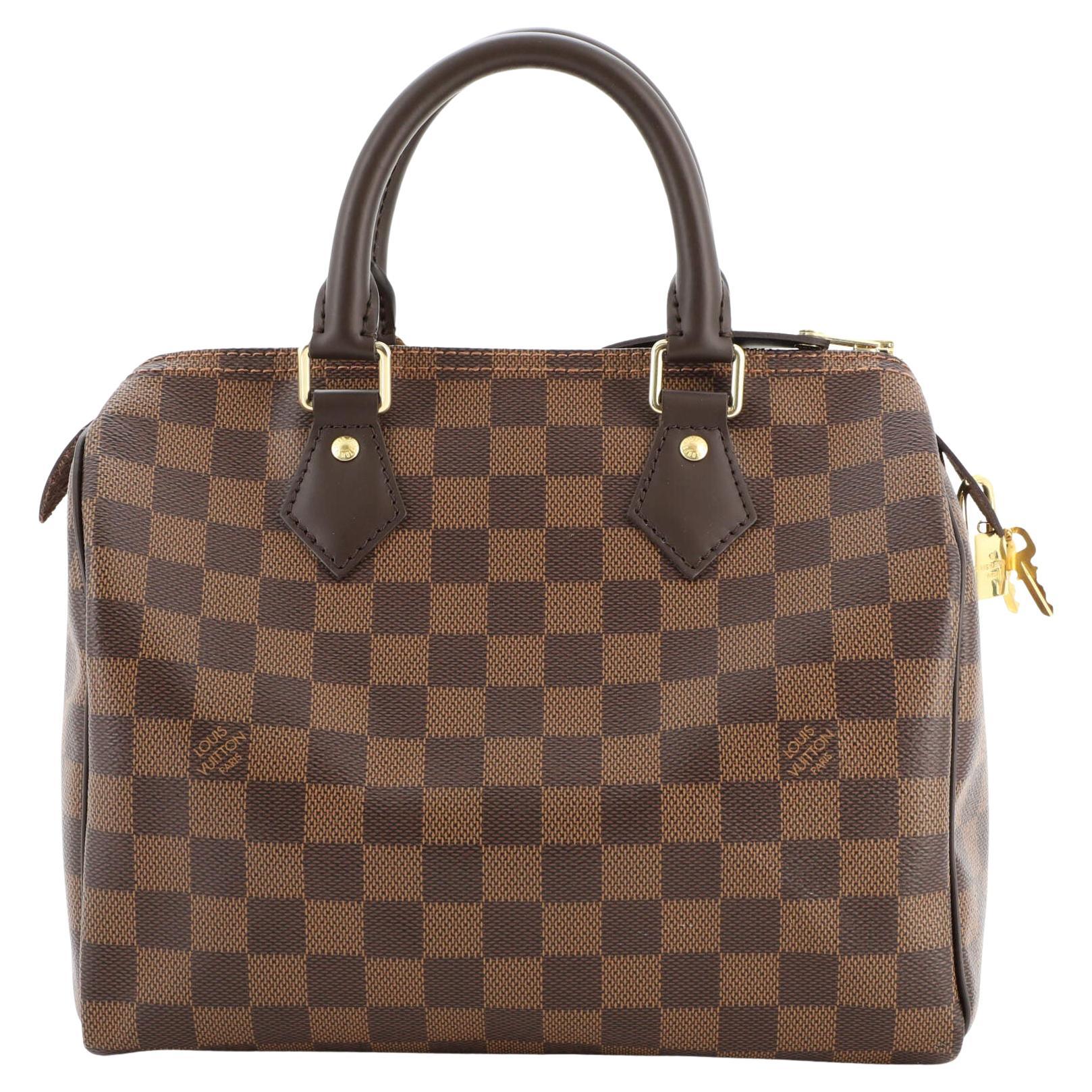 Louis Vuitton Speedy Handbag Damier 25