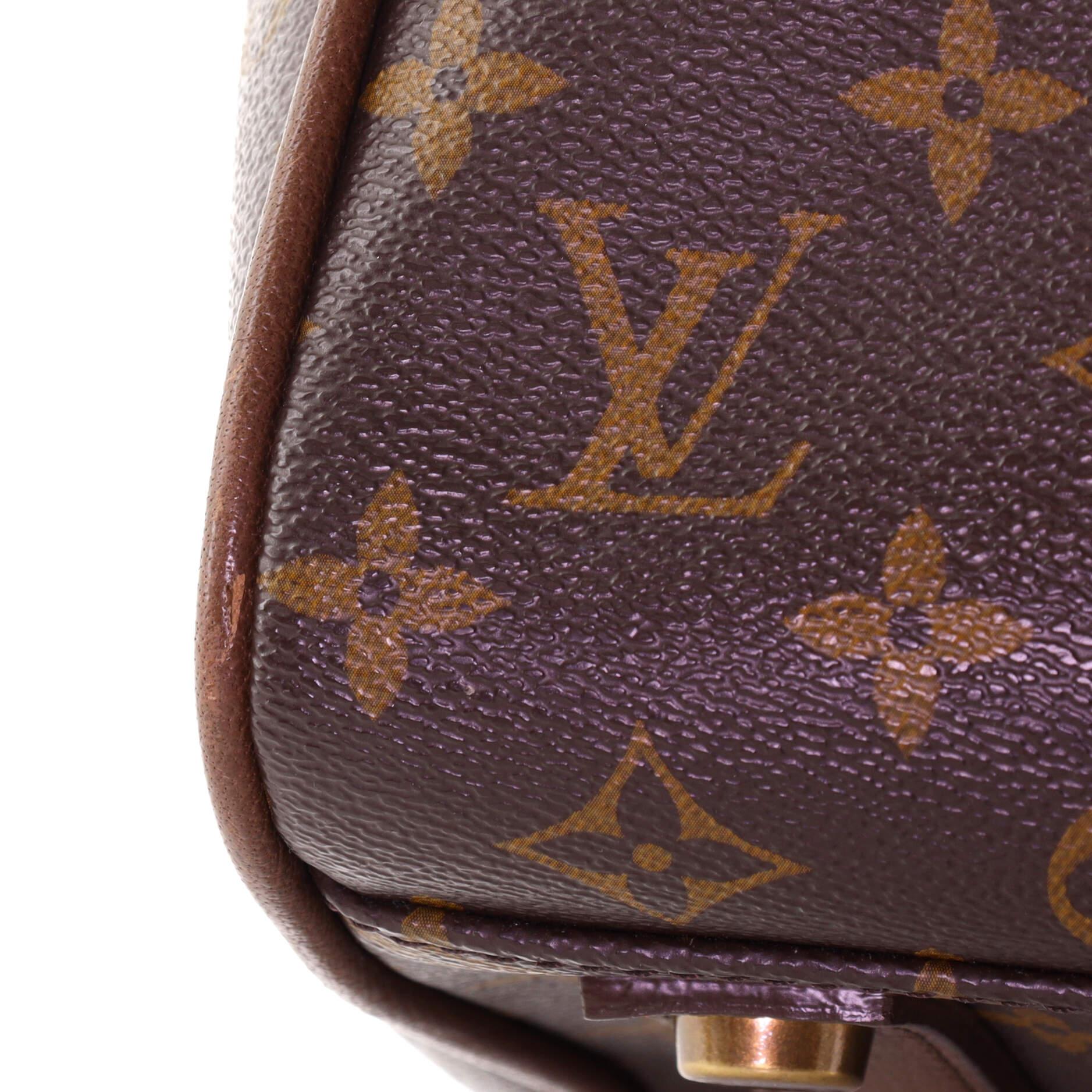 Louis Vuitton Speedy Handbag Golden Arrow Monogram Canvas 2