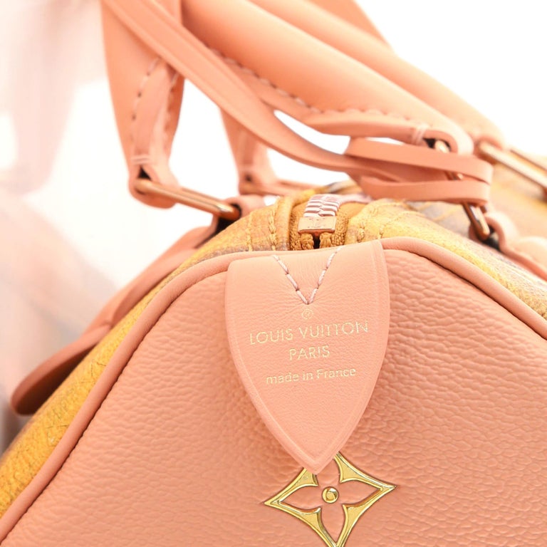 Louis Vuitton Fragonard Speedy 30 Handbag(Pink)