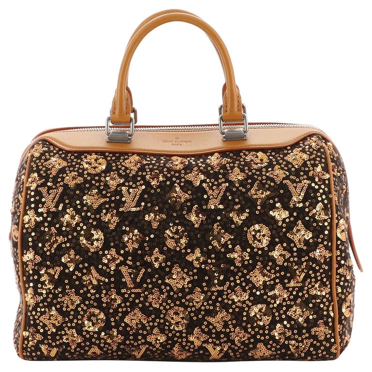 Louis Vuitton Speedy Handbag Limited Edition Sunshine Express 30 at