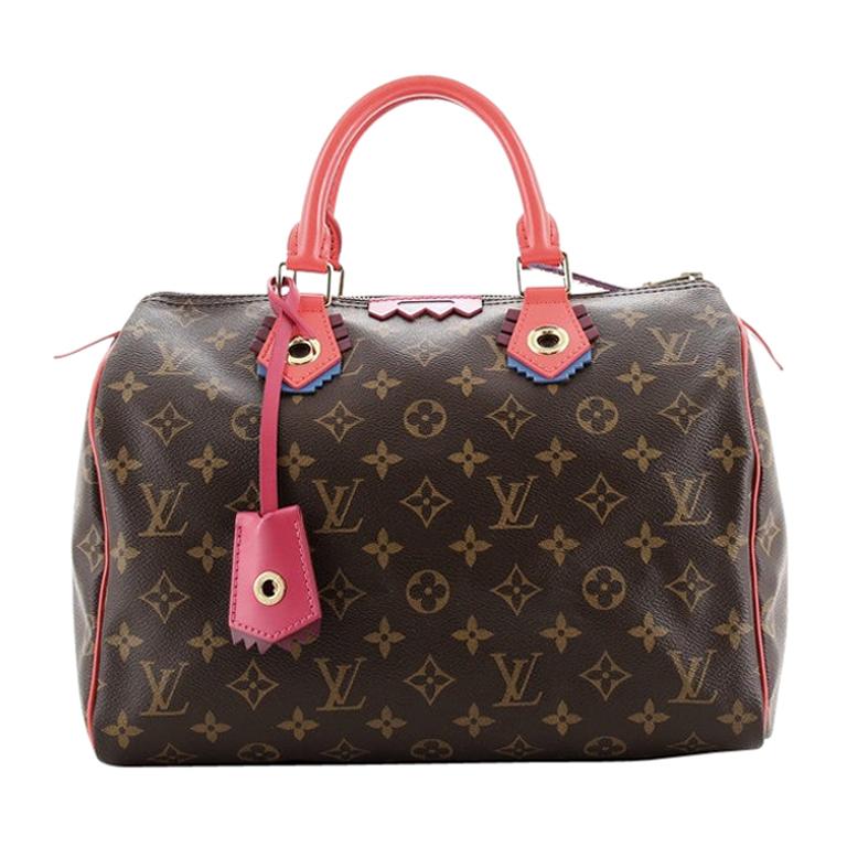 Louis Vuitton Speedy Handbag Limited Edition Totem Monogram Canvas 30