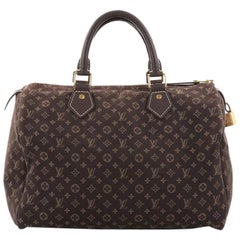 Louis Vuitton Speedy Handbag Mini Lin 30