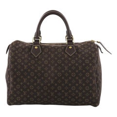 Louis Vuitton Speedy Handbag Mini Lin 30,