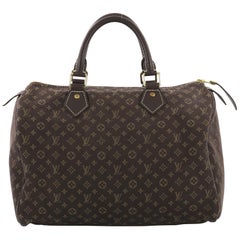 Louis Vuitton Speedy Handbag Mini Lin 30