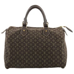 Louis Vuitton Speedy Handbag Mini Lin 30