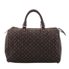 Louis Vuitton Speedy Handbag Mini Lin 30 