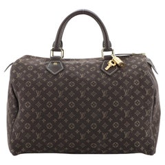 Louis Vuitton Speedy Handbag Mini Lin 30