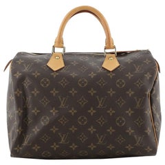 Louis Vuitton Speedy Handbag Monogram Canvas 30